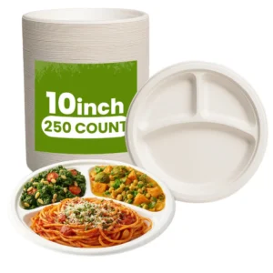 Biodegradable 3 Compartment Plates - 10” - Eco-Friendly & Durable - 250