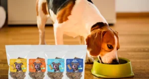 Dog Health Treats Nourishing Your Pup with Purpose